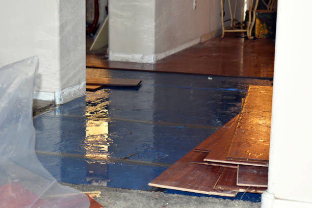 Professional Basement Flood Cleanup technician working in Fairhope, PA